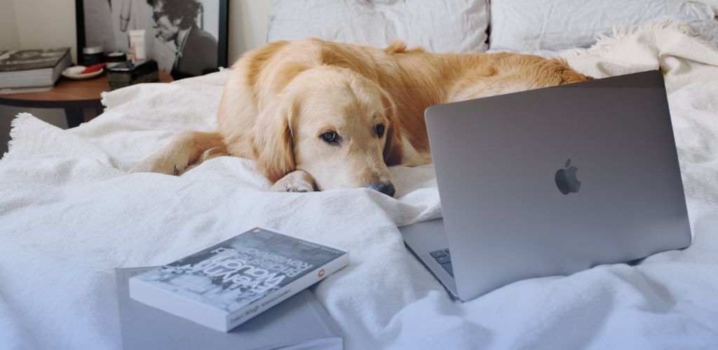 consider daily comfort in property in Limassol or Paphos