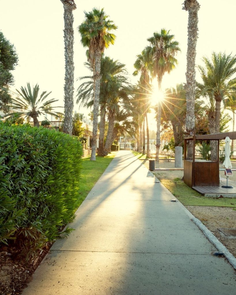 why foreign buyers choose paphos properties